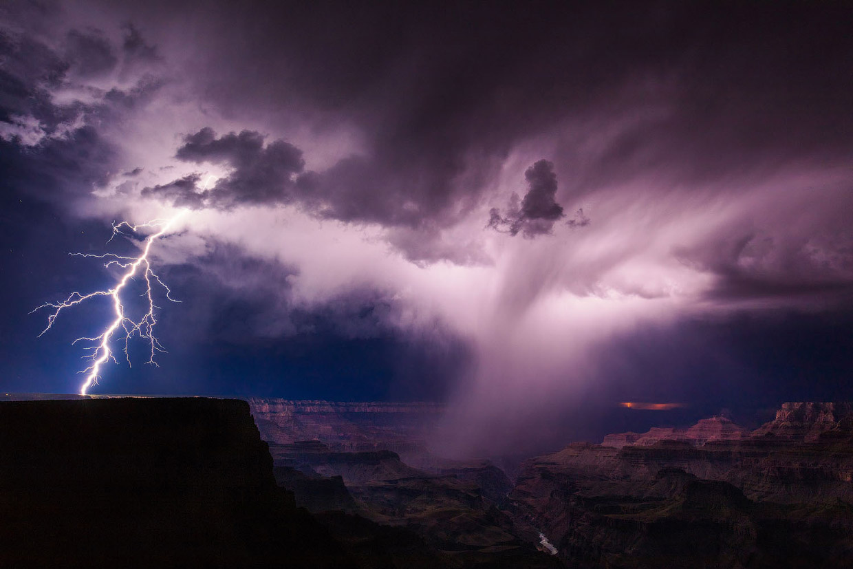 Фотографии победителей National Geographic Nature Photographer 2017 Фотографии победителей National Geographic Nature Photographer 2017