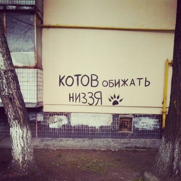 Креативные надписи на стенах