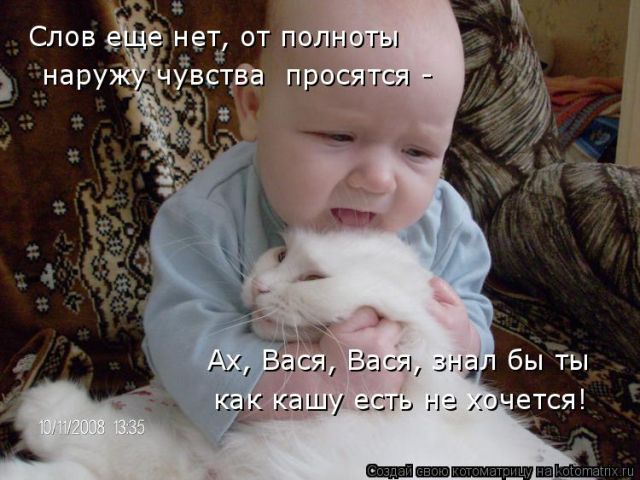 Лучшие котоматрицы недели