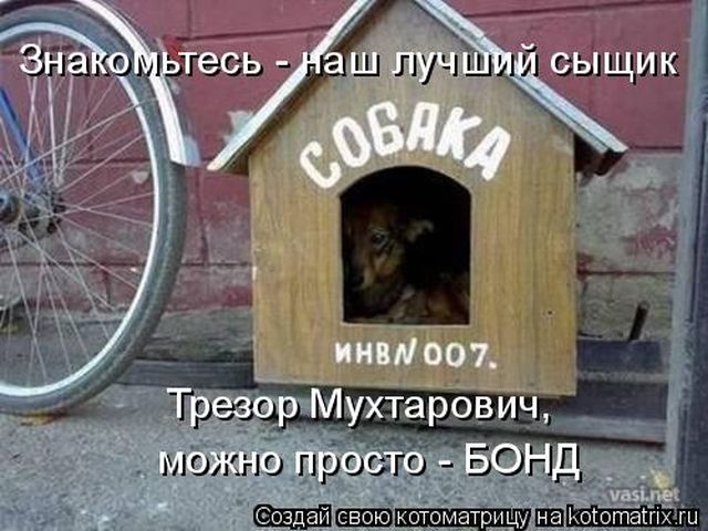 Лучшие котоматрицы недели