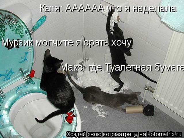Лучшие котоматрицы недели