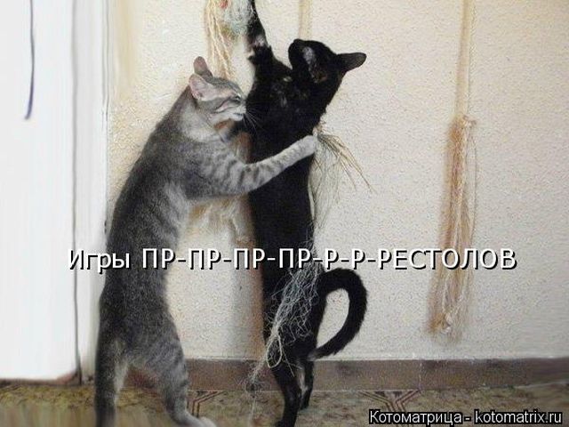 Лучшие котоматрицы недели