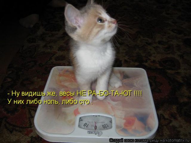 Лучшие котоматрицы недели