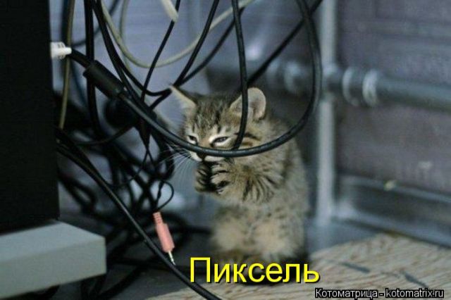 Лучшие котоматрицы недели