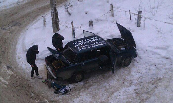 Прикольные картинки