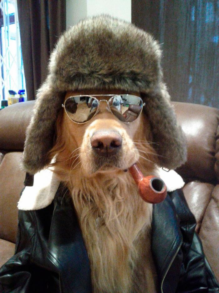 Прикольные картинки