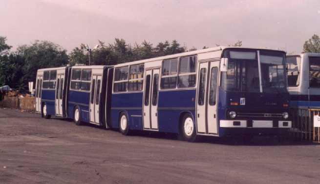 Самые забавные автобусы Самые забавные автобусы