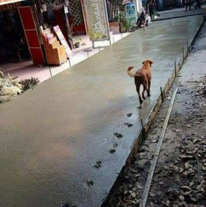 Дерьмо случается
