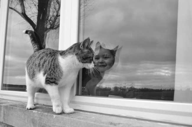 26 фотографий, с которыми сама камера сыграла злую шутку