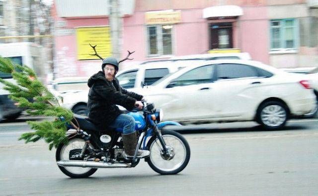 Прикольные картинки