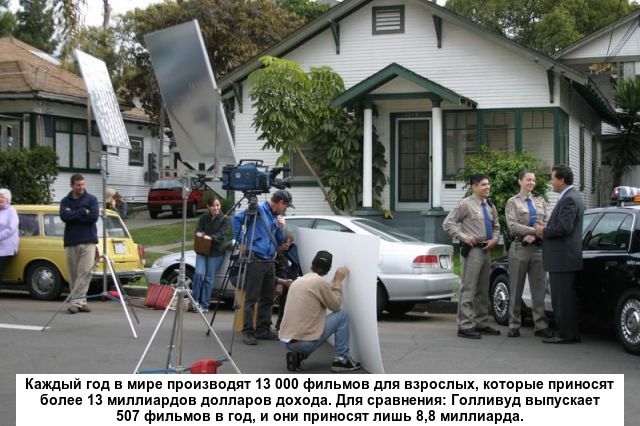 Любопытные факты о порно