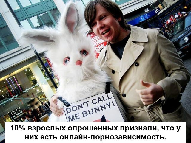 Любопытные факты о порно