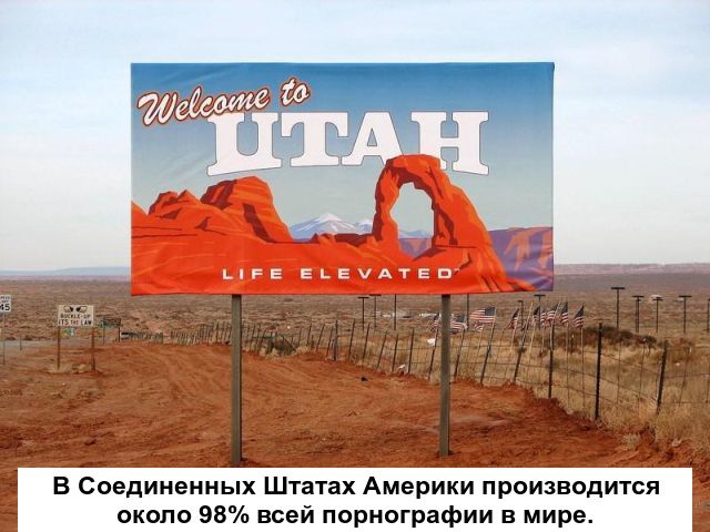 Любопытные факты о порно