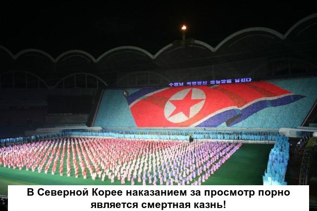 Любопытные факты о порно
