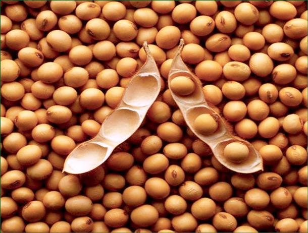 Продукты питания, которые лучше не есть перед свиданием Продукты питания, которые лучше не есть перед свиданием