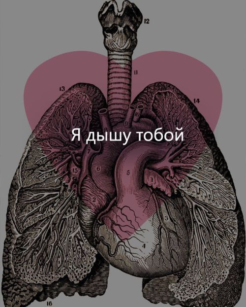 Порция картинок: 16.02.15