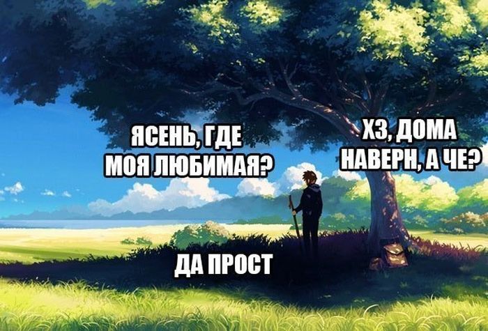 Порция картинок: 16.02.15