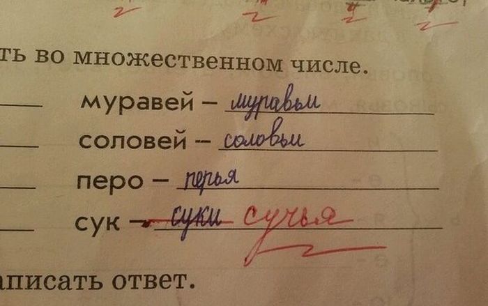 Порция картинок: 16.02.15