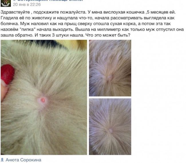 Порция картинок: 16.02.15