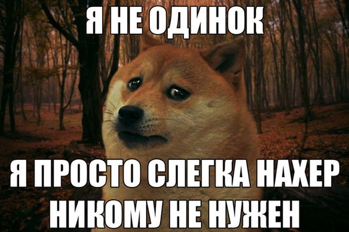 Порция картинок: 16.02.15