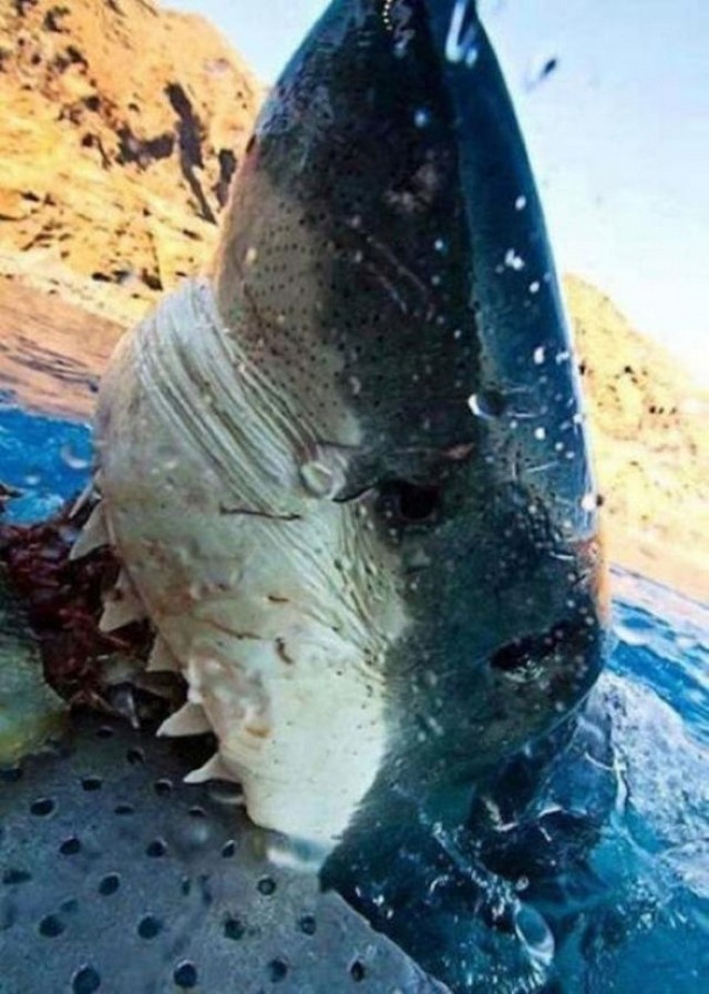 Дерьмо случается 16.02.15