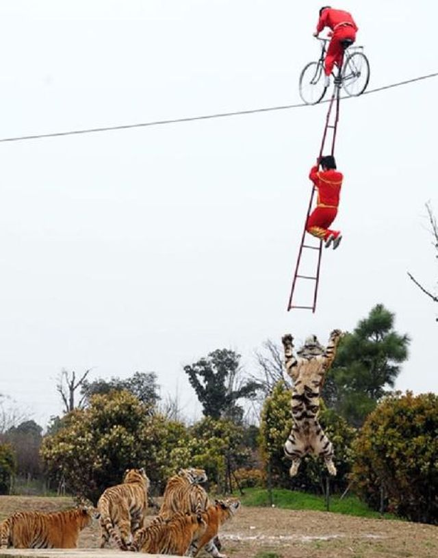 Дерьмо случается 16.02.15