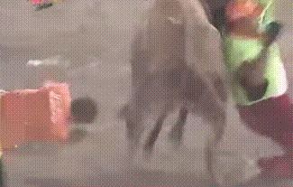 Дерьмо случается 16.02.15