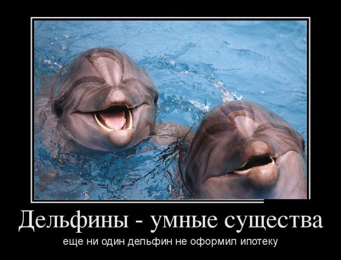 Демотиваторы