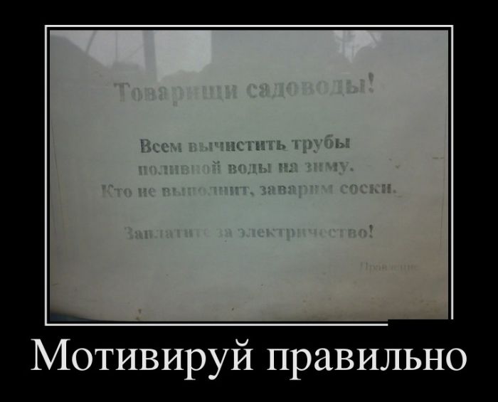 Демотиваторы