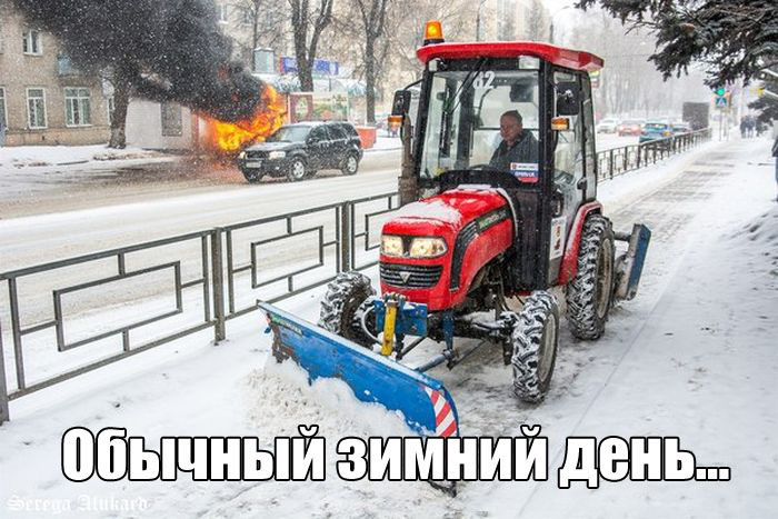 Прикольные картинки