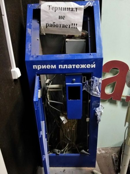 Прикольные картинки