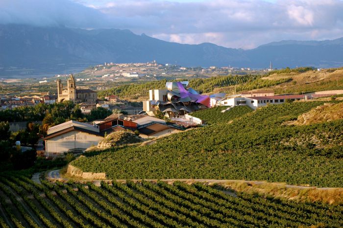 Удивительная гостиница при винодельне Marqu'es de Riscal
