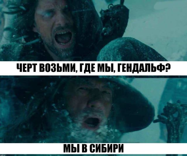 Прикольные картинки