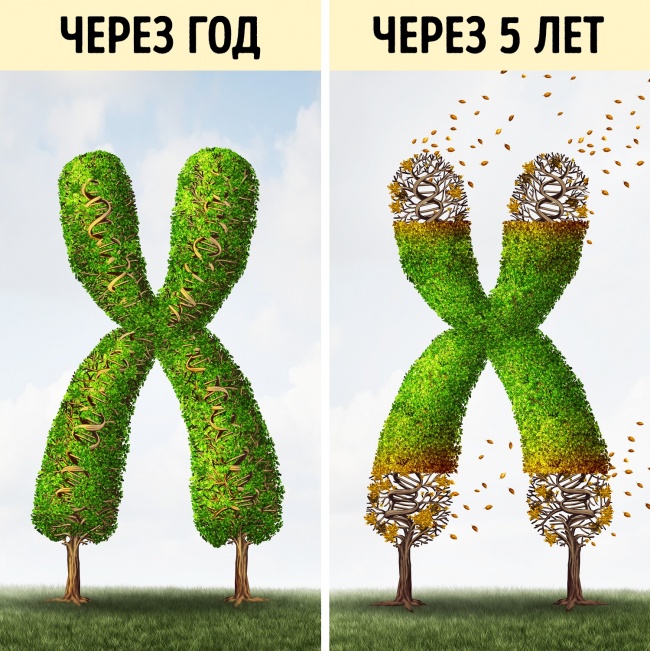 10 вещей, которые происходят с вашим телом, когда вы сидите по 8 часов в день