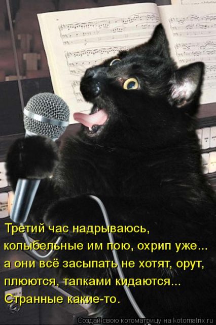 Лучшие котоматрицы недели