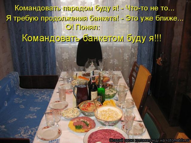 Лучшие котоматрицы недели