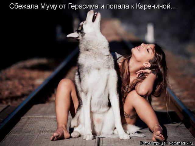 Лучшие котоматрицы недели