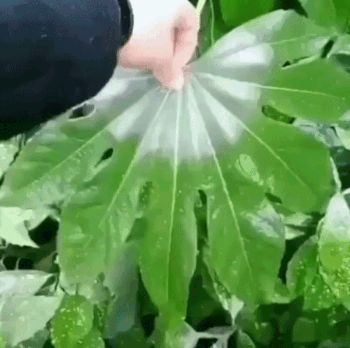 И такое бывает