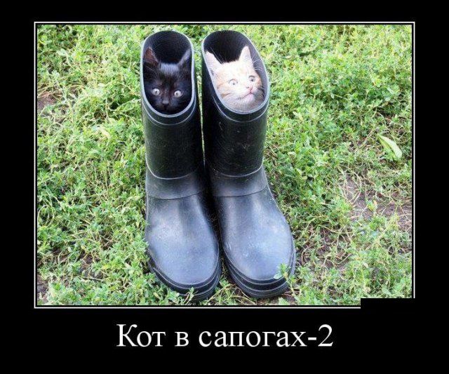 Демотиваторы