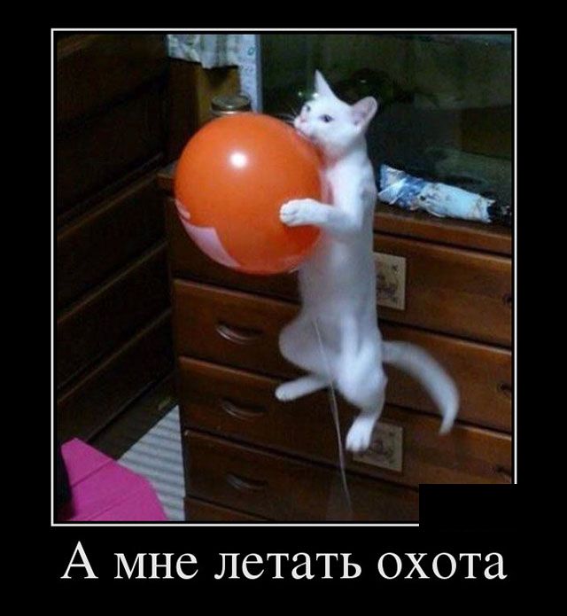 Демотиваторы
