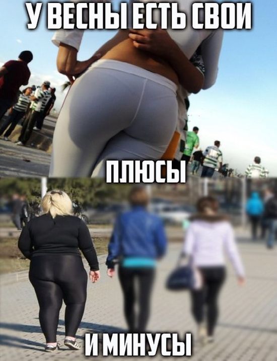 Порция картинок