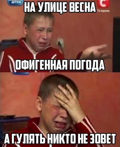 Порция картинок
