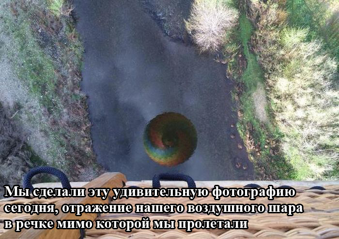 Порция картинок