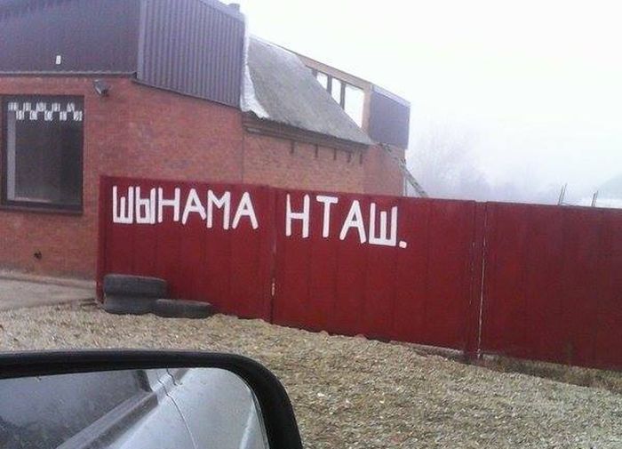 Порция картинок