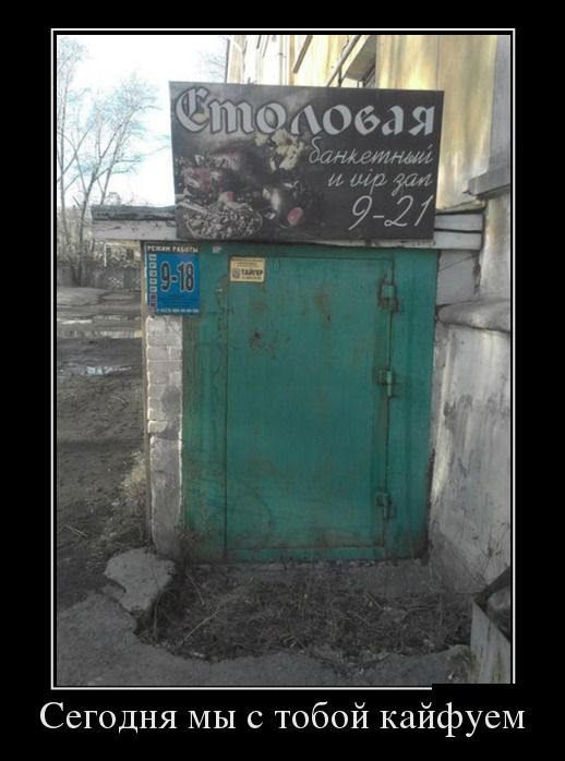 Демотиваторы