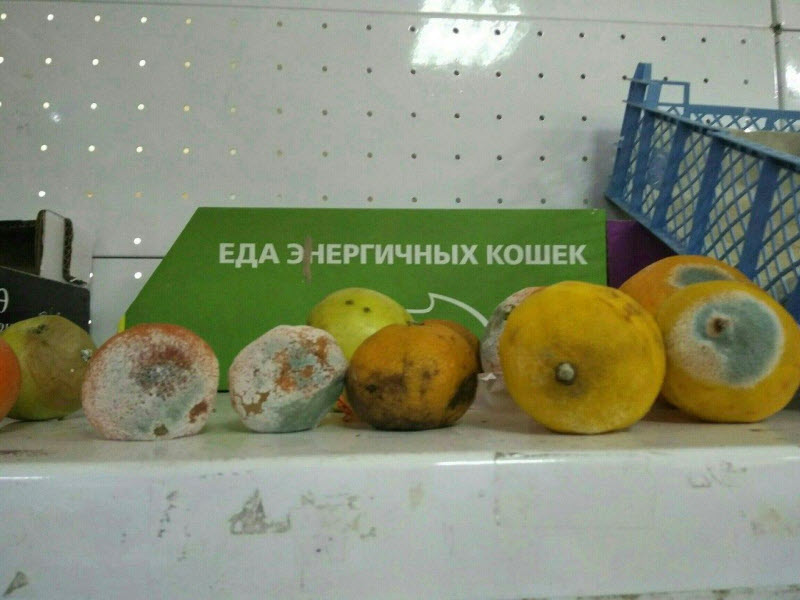 Вестник социальных сетей