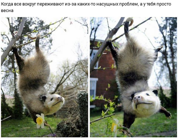 Прикольные картинки
