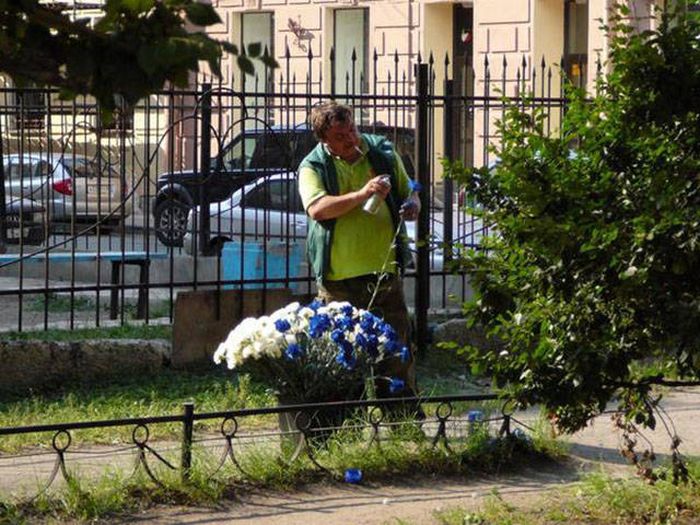 Прикольные картинки