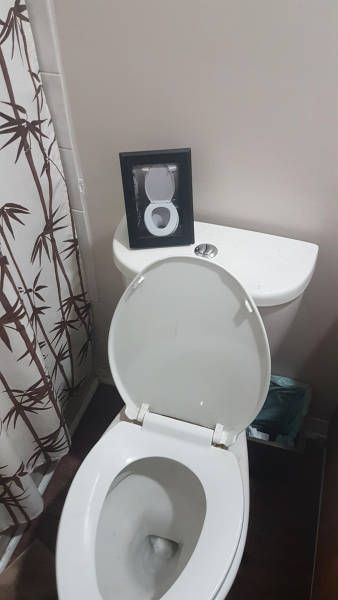 Прикольные картинки