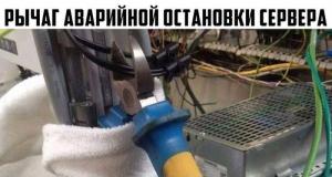 Прикольные картинки